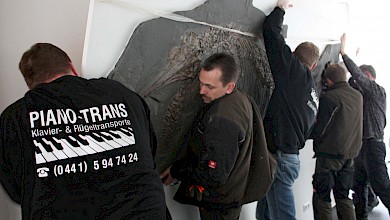 Piano-Trans Dinosauriertransport